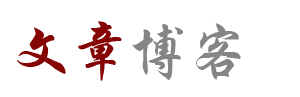 先鋒視界